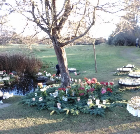 Klicka för att se förhandsgranska