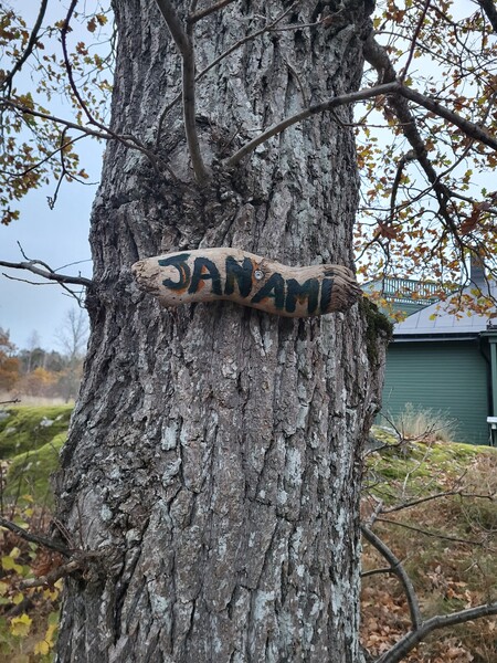 Klicka för att se förhandsgranska