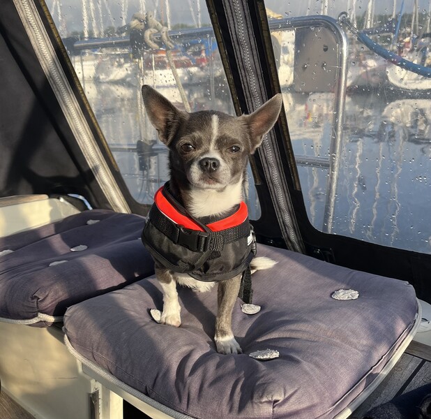 Klicka för att se förhandsgranska