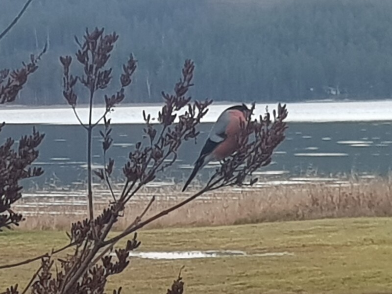 Klicka för att se förhandsgranska