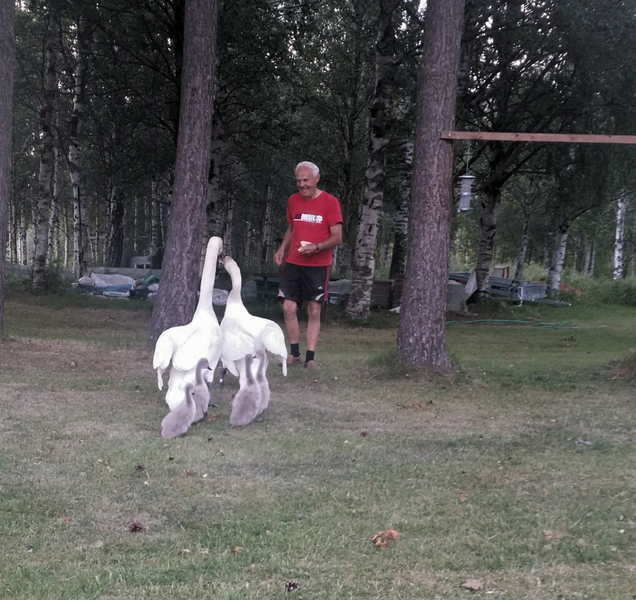 Klicka för att se förhandsgranska