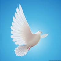 Britt-Marie Nilsson-Lång