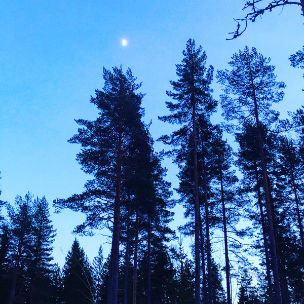 Klicka för att se förhandsgranska