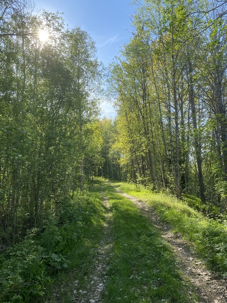 Klicka för att se förhandsgranska
